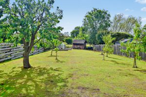 Photo 21- click for photo gallery